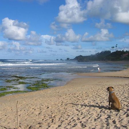 Round House Hotel Bathsheba Exterior foto